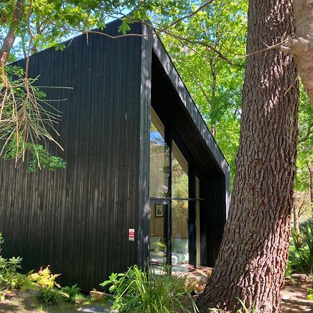 Nouveau - Ecolodge 'Calme Et Nature' - Avec Piscine Au Golf-Lac De Biscarrosse - Couchage 2 Personnes Bagian luar foto