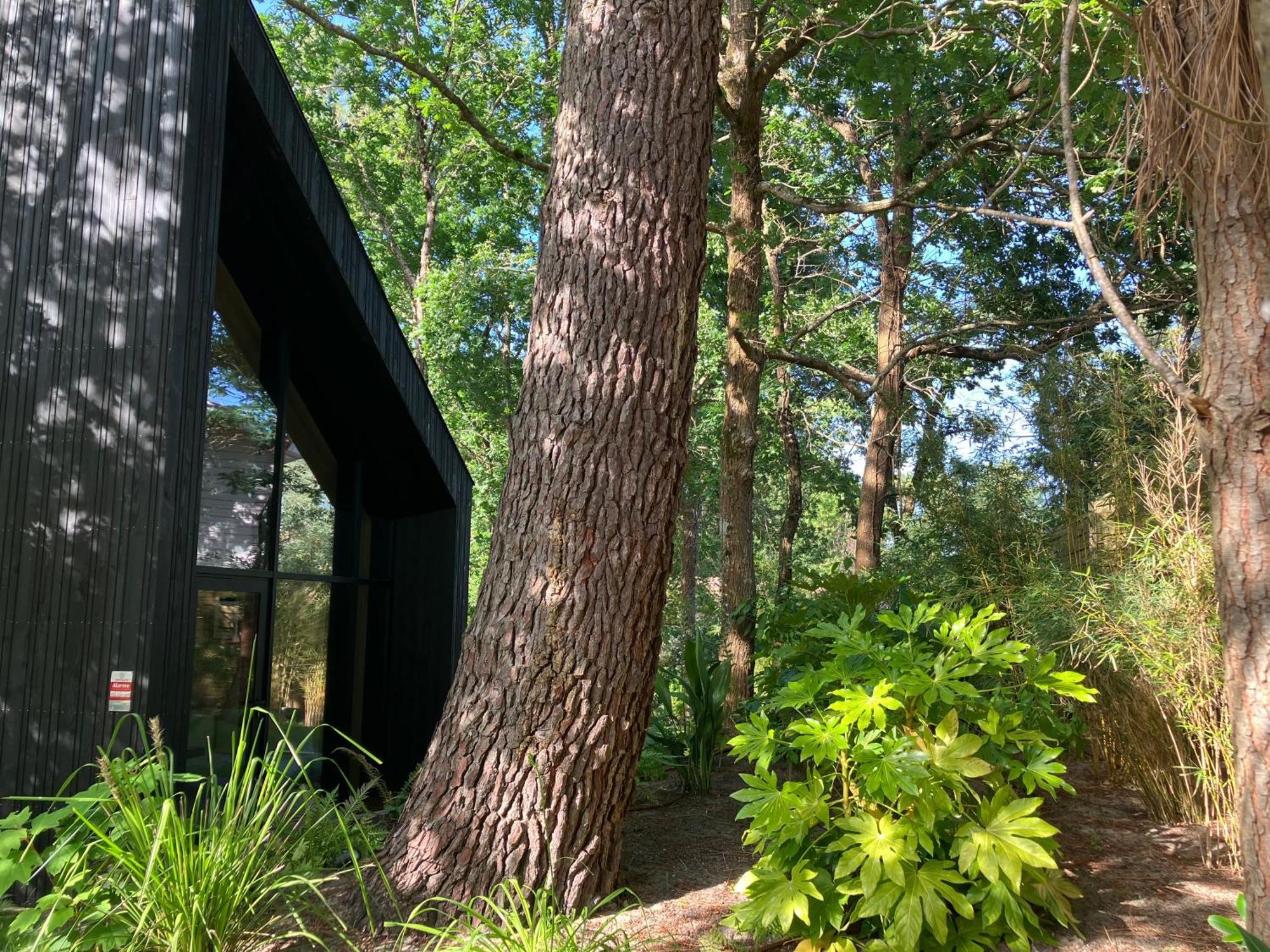 Nouveau - Ecolodge 'Calme Et Nature' - Avec Piscine Au Golf-Lac De Biscarrosse - Couchage 2 Personnes Bagian luar foto